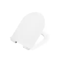 Крышка-сиденье BelBagno BB2011SC