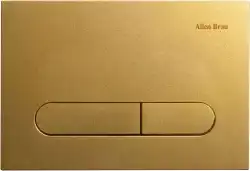 Клавиша смыва Allen Brau Project Color 9.2PR01.GD золотой