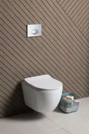 Унитаз подвесной Aquanet Cetus 3.0 Tornado с сиденьем микролифт 348005, белый