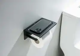 Держатель туалетной бумаги Aquatek Либра AQ4309MB с полкой, Черный матовый