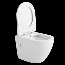 Подвесной унитаз-биде Ceramalux 2196-BD, безободковый с крышкой микролифт, Белый