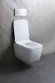 Подвесной унитаз Allen Brau Liberty 4.33007.21 безободковый, цвет белый матовый