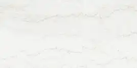 Керамогранит AZARIO ROYAL BOTTOCHINO 60х120 Glossy (P3211112141G)