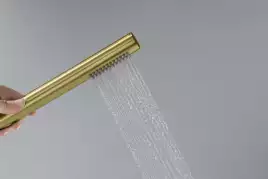Душевая лейка Aquatek Европа AQ2002BG, Золото матовое