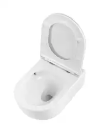 Унитаз подвесной BelBagno ETNA BB008CH-TOR/SC безободковый с сиденьем и смывом TORNADO