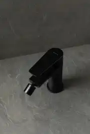 Смеситель для биде Allen Brau Eclipse 2.0 5.E1A10-31 черный матовый