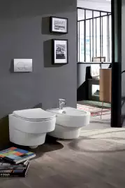Подвесной унитаз Jacob Delafon Odeon Rive Gauche безободковый EDR102-00