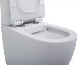Чаша напольного унитаза Aquanet Rimless Cetus-C1 BL-102N-TPT с сиденьем микролифт