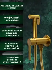 Гигиенический душ со смесителем AVS Elegant 811-431-BG, брашированное золото