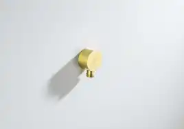 Шланговое подключение Aquatek  AQ2457BG, Золото матовое