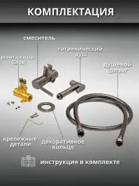 Гигиенический душ со смесителем AVS Elegant 811-431-GM, оружейная сталь