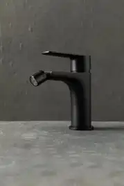 Смеситель для биде Allen Brau Eclipse 2.0 5.E1A10-31 черный матовый