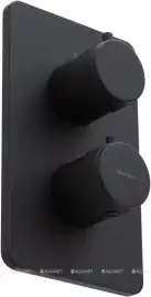 Смеситель для душа Allen Brau Priority 5.31113-31 встраиваемый, с внутренней частью, Черный матовый