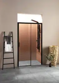 Душевая дверь Aquanet Pleasure 160 см, AE60-N-160H200U-BT, профиль Черный, стекло Прозрачное