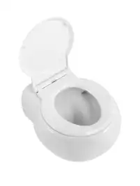 Подвесной унитаз CEZARES GRANDE CZR-308-TH-TOR/SC, со смывом TORNADO, с сиденьем микролифт