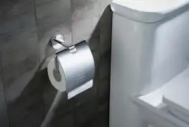 Держатель туалетной бумаги Aquatek Бетта AQ4609CR с крышкой, Хром