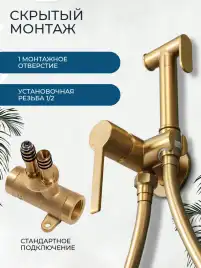 Гигиенический душ со смесителем AVS Elegant 811-431-BG, брашированное золото