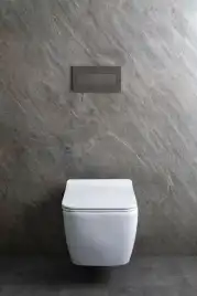 Подвесной унитаз Allen Brau Liberty 4.33007.20 безободковый, цвет белый