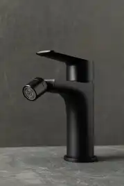 Смеситель для биде Allen Brau Eclipse 2.0 5.E1A10-31 черный матовый