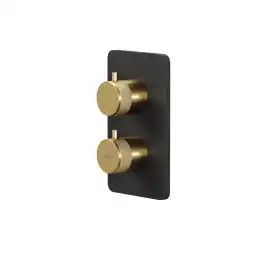 Смеситель для ванны Allen Brau Priority 5.31213-31GB (с внутренней частью, 2 выхода) черный/золото