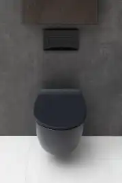 Подвесной безободковый унитаз Allen Brau Fantasy 4.11004.31 без сиденья, черный матовый