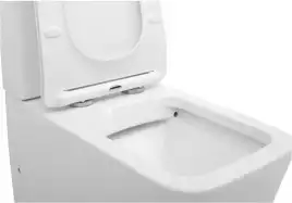Чаша напольного унитаза Aquanet Rimless Tavr-C1 BL-103N-TPT с сиденьем микролифт