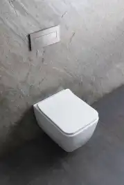 Подвесной унитаз Allen Brau Liberty 4.33007.21 безободковый, цвет белый матовый