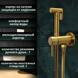Гигиенический душ со смесителем AVS Slimmer 811-131-BG, брашированное золото