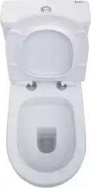 Чаша напольного унитаза Aquanet Rimless Cetus-C1 BL-102N-TPT с сиденьем микролифт