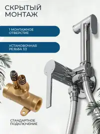 Гигиенический душ со смесителем AVS Elegant 811-431-CR, хром