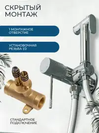 Гигиенический душ со смесителем AVS SEEME 811-331-CR, хром