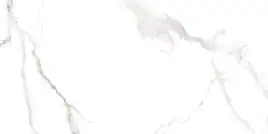 Керамогранит AZARIO MARTIN GREY 60х120 Glossy (F4110821124G)