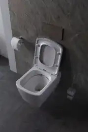 Подвесной безободковый унитаз Allen Brau Liberty 4.33004.20 без сиденья, белый глянец