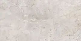 Керамогранит AZARIO ORBITO GREY 60х120 Glossy (P4110821134)