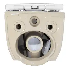 Унитаз подвесной Azario RIANO AZ-2808E подвесной, безободковый, со смывом 