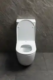 Напольный унитаз Allen Brau Priority Tornado 4.31006.20 безободковый, цвет белый глянец