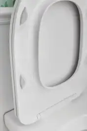 Крышка-сиденье Jacob Delafon Modern Life с микролифтом E77168-0