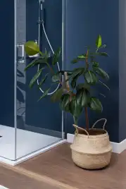 Душевая дверь Aquanet Cinetic 120 см, AE12-N-120H190U-CT, профиль Хром, стекло Прозрачное