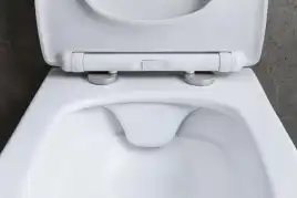 Подвесной унитаз Allen Brau Liberty 4.33007.21 безободковый, цвет белый матовый