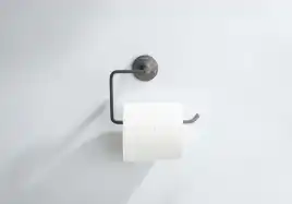 Держатель туалетной бумаги Aquatek Бетта AQ4608BGM, Оружейная сталь