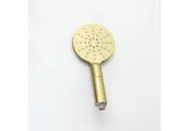 Душевая лейка Aquatek Оберон AQ2006BG, Золото матовое