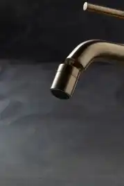 Смеситель для биде Allen Brau Priority 5.31A04-GB (с донным клапаном) золото