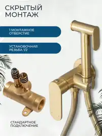 Гигиенический душ со смесителем AVS Beauty 811-531-BG, брашированное золото