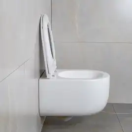 Унитаз подвесной AVS Декарт 801-0036-P-T2-GW безободковый, со смывом Торнадо, белый