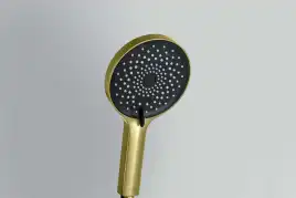 Душевая лейка Aquatek Лугано AQ2201BG, Золото шлифованное
