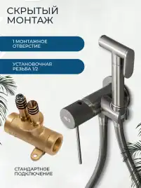 Гигиенический душ со смесителем AVS Pulse 811-031-GM, оружейная сталь