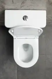 Напольный унитаз Allen Brau Priority Tornado 4.31006.20 безободковый, цвет белый глянец