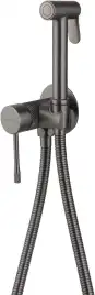 Смеситель с гигиеническим душем Priority 4.0 Allen Brau 5.31С29-MG (с внутренней частью) графит браш