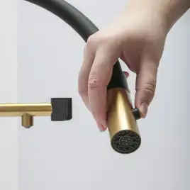 Смеситель для кухни с гибким изливом AVS PureRiver брашированное золото, 811-170-BG