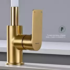 Смеситель для кухни Splenka S05.43.03, Золото матовое